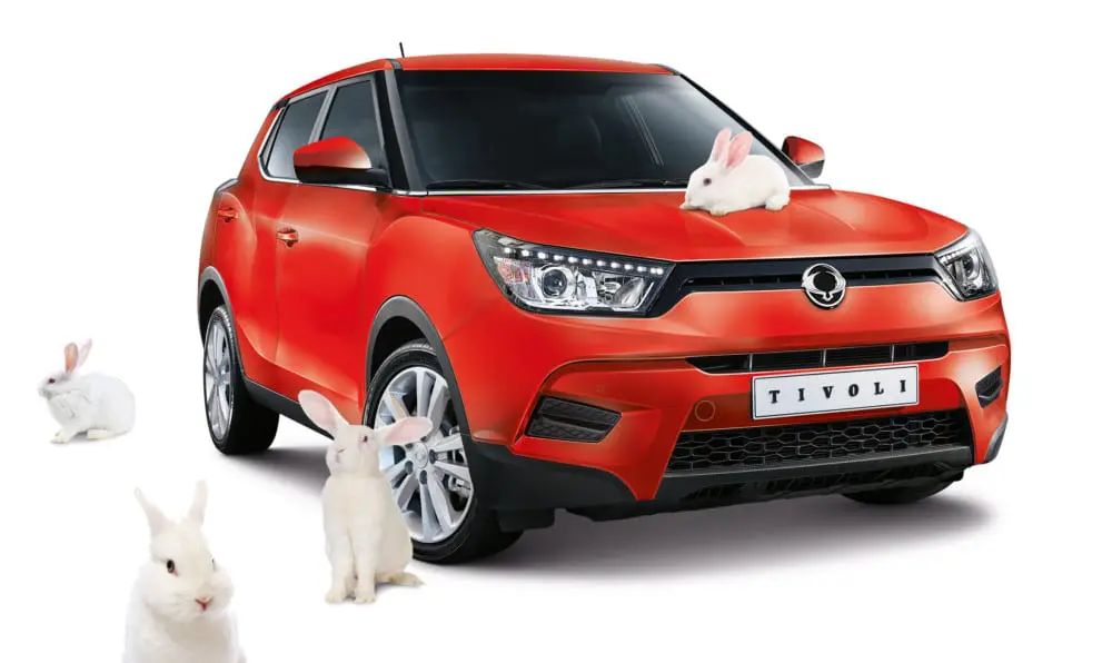 Stories 95869ssa SsangYong Easter promotion - Stories