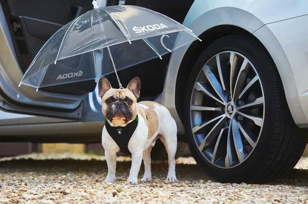 SKODA ApFool2 - Stories