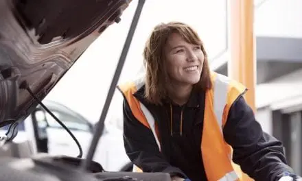 Halfords Free Winter Checks