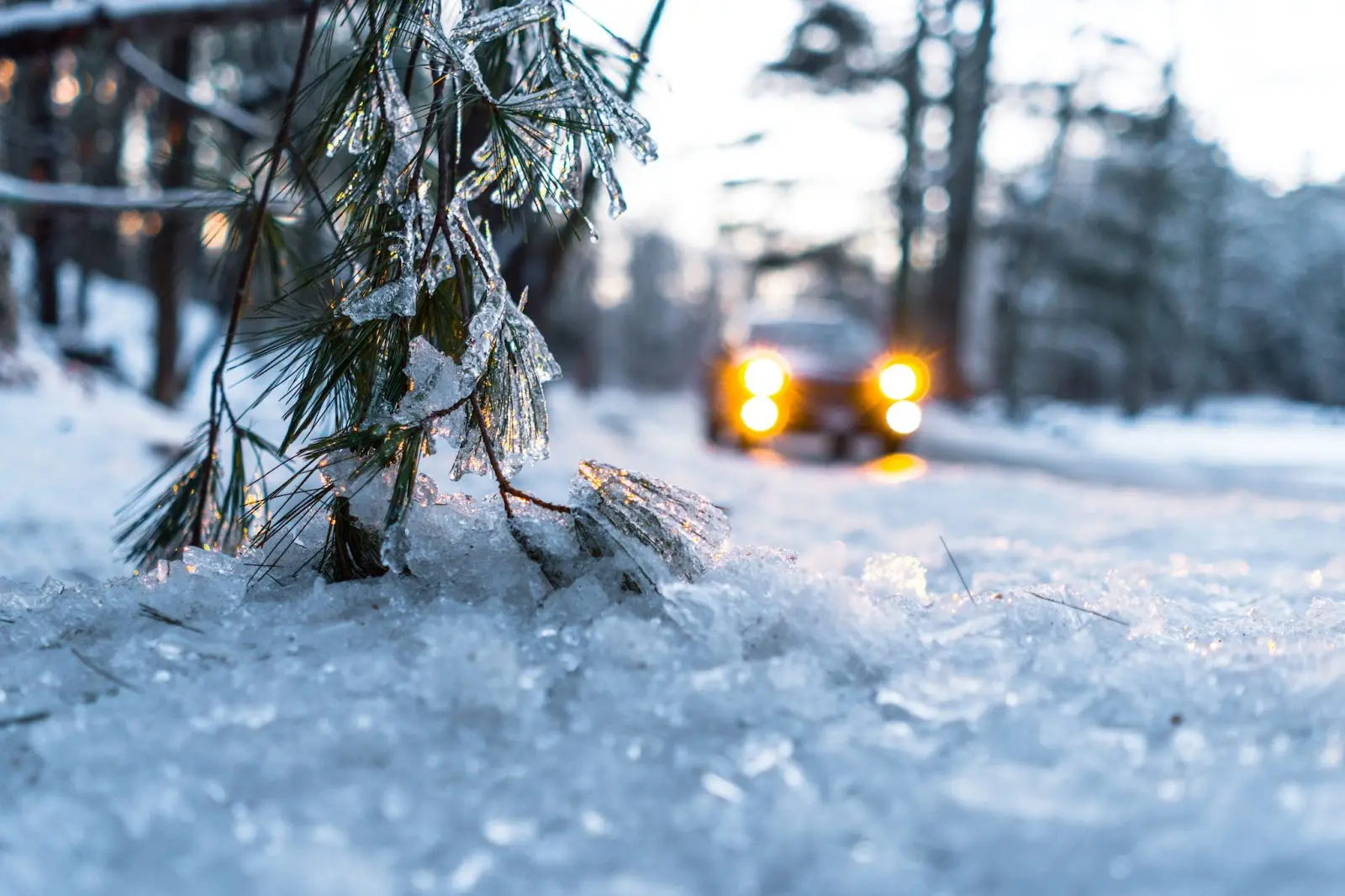 winter picture - Stories