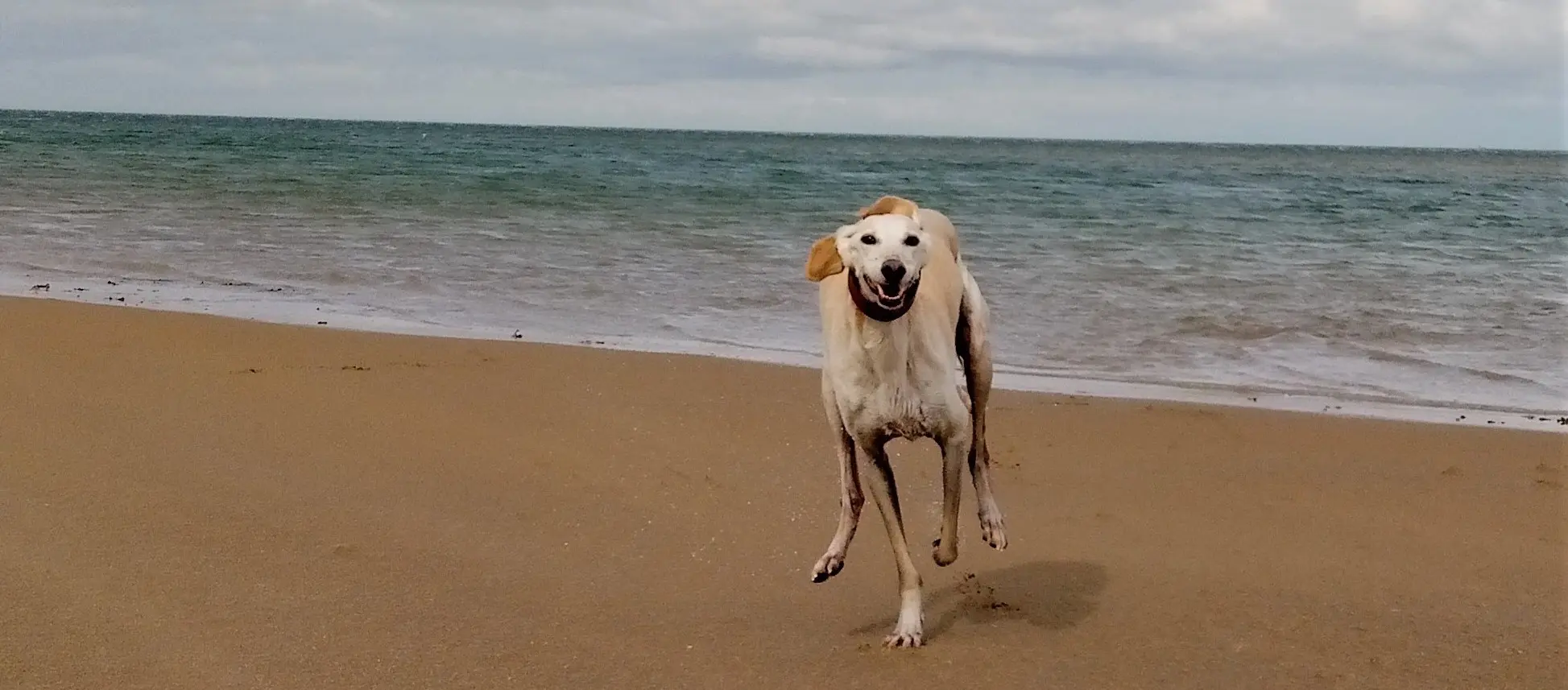 Ralf Red Wharf Bay - Stories