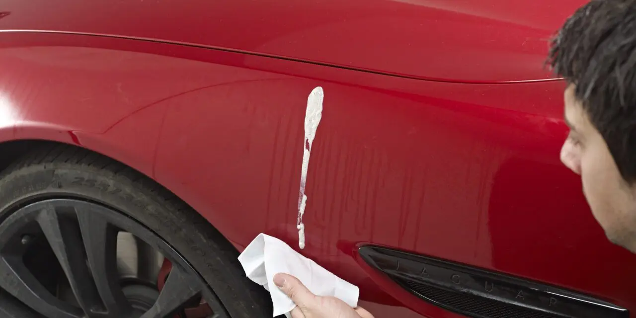 Drivers Are Making Bird Dropping Damage Worse