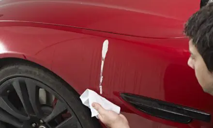Drivers Are Making Bird Dropping Damage Worse
