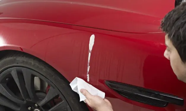 Drivers Are Making Bird Dropping Damage Worse