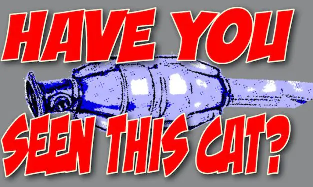 5 Steps to Take After Your Catalytic Converter Gets Stolen