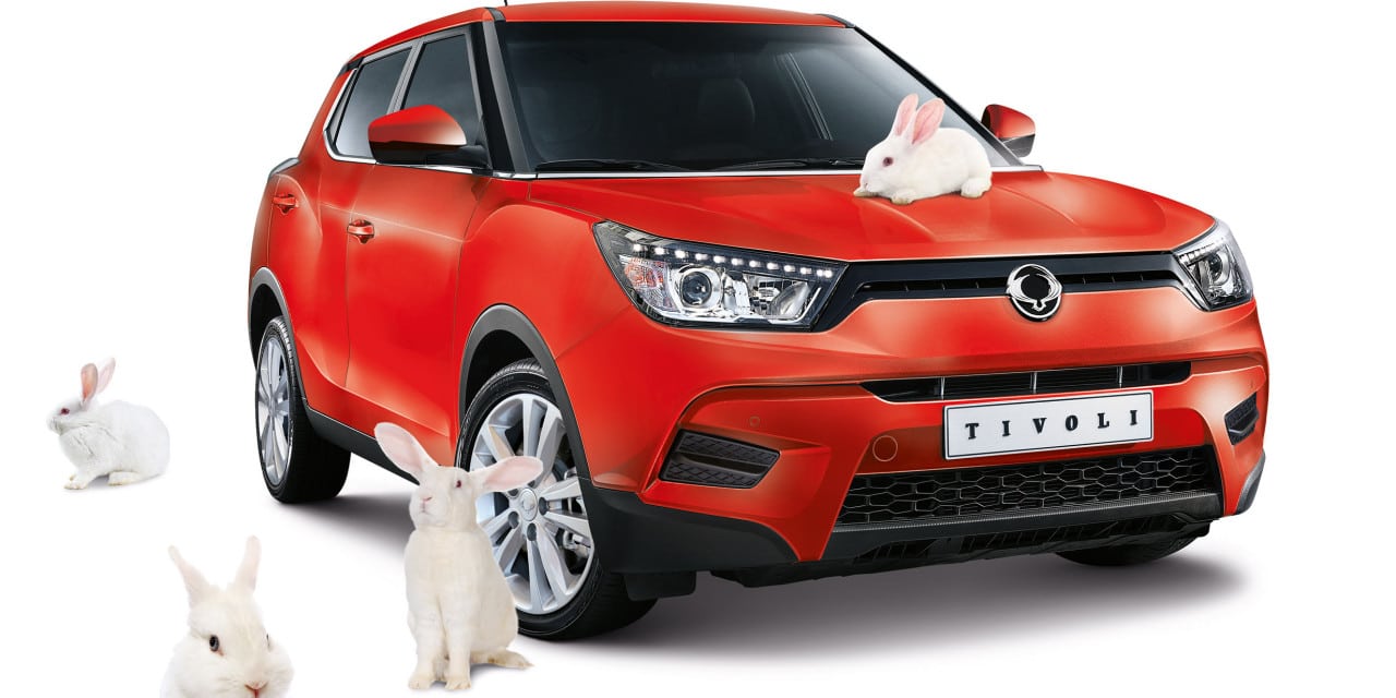 Ssangyong Easter Bunny Special