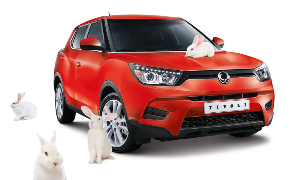 Stories 95869ssa SsangYong Easter promotion - Stories