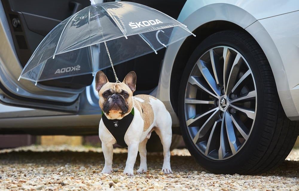 Skoda Dog Brolly