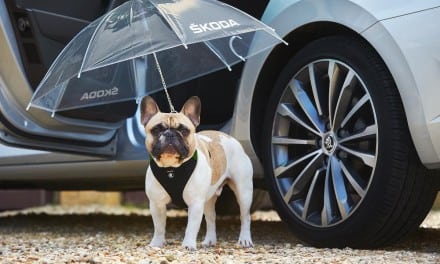 Skoda Dog Brolly