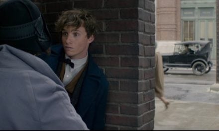 Fantastic Beasts and Where to Find them – Your Fantastical Film for the Weekend