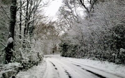 snowy country road 2 400x250 - Stories