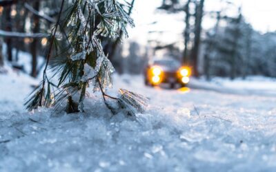 winter picture 400x250 - Stories