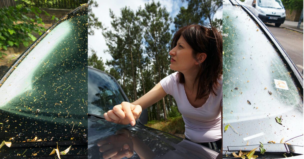 Autogylm expose quick-fix hacks for tree-sap removal