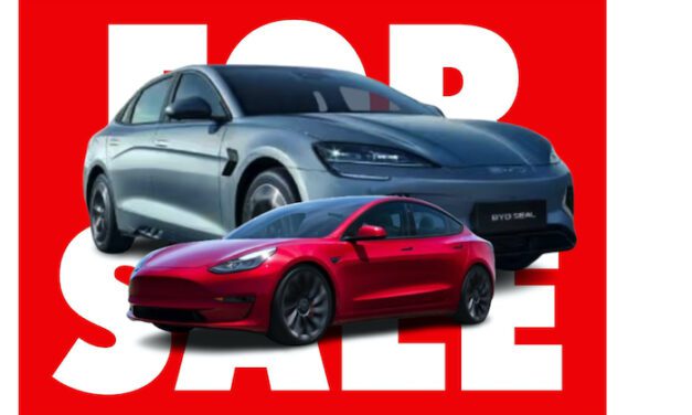 Interest in BYD Autos has risen 400% as searches for ‘sell Tesla’ rise
