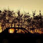 Peugeot E208 GTi – Matthew Corrigan explains how they got it wrong