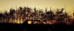peugeot 205 GTi 300x128 - GT Lie Peugeot is Gaslighting Car Enthusiasts