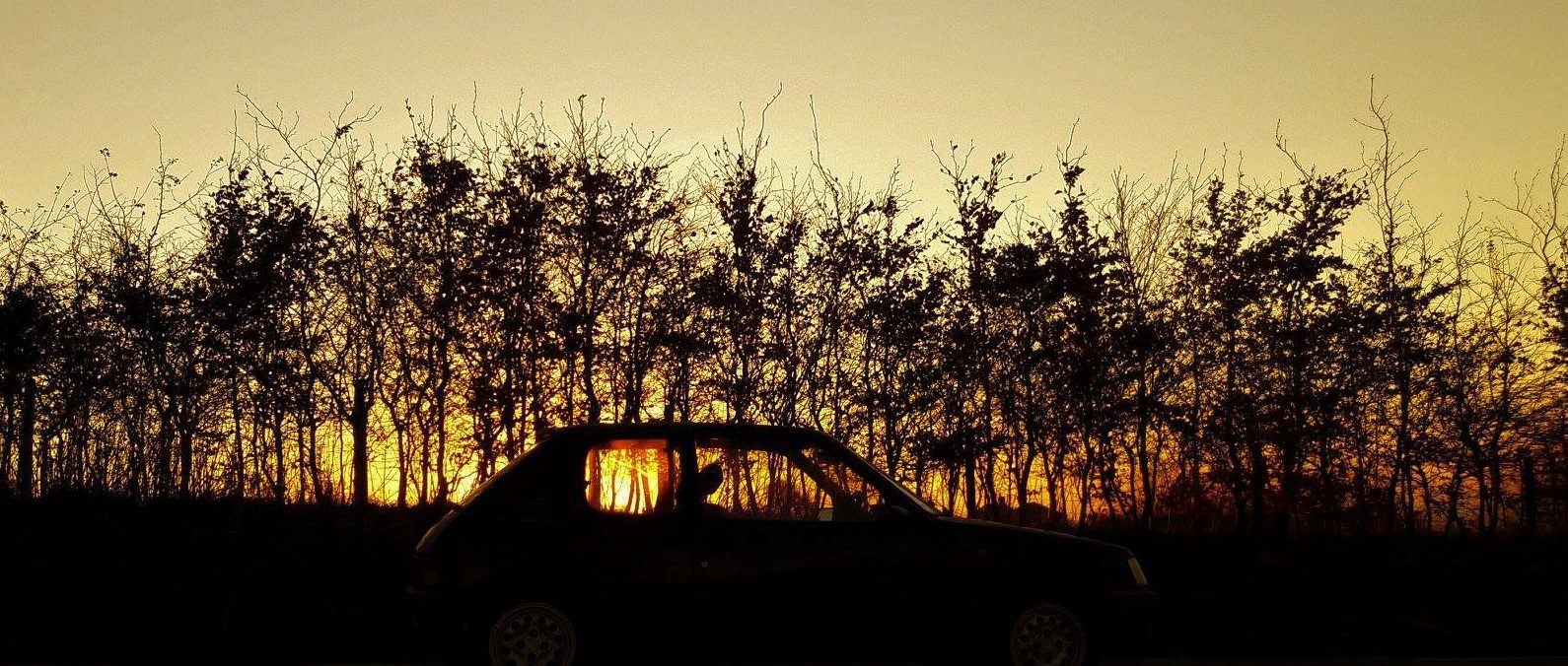 peugeot 205 GTi - Stories