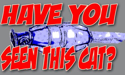 5 Steps to Take After Your Catalytic Converter Gets Stolen